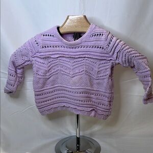 GAP Purple Crew Neck Sweater with Chevron Pattern